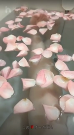 ピンクの薔薇が可愛い💓