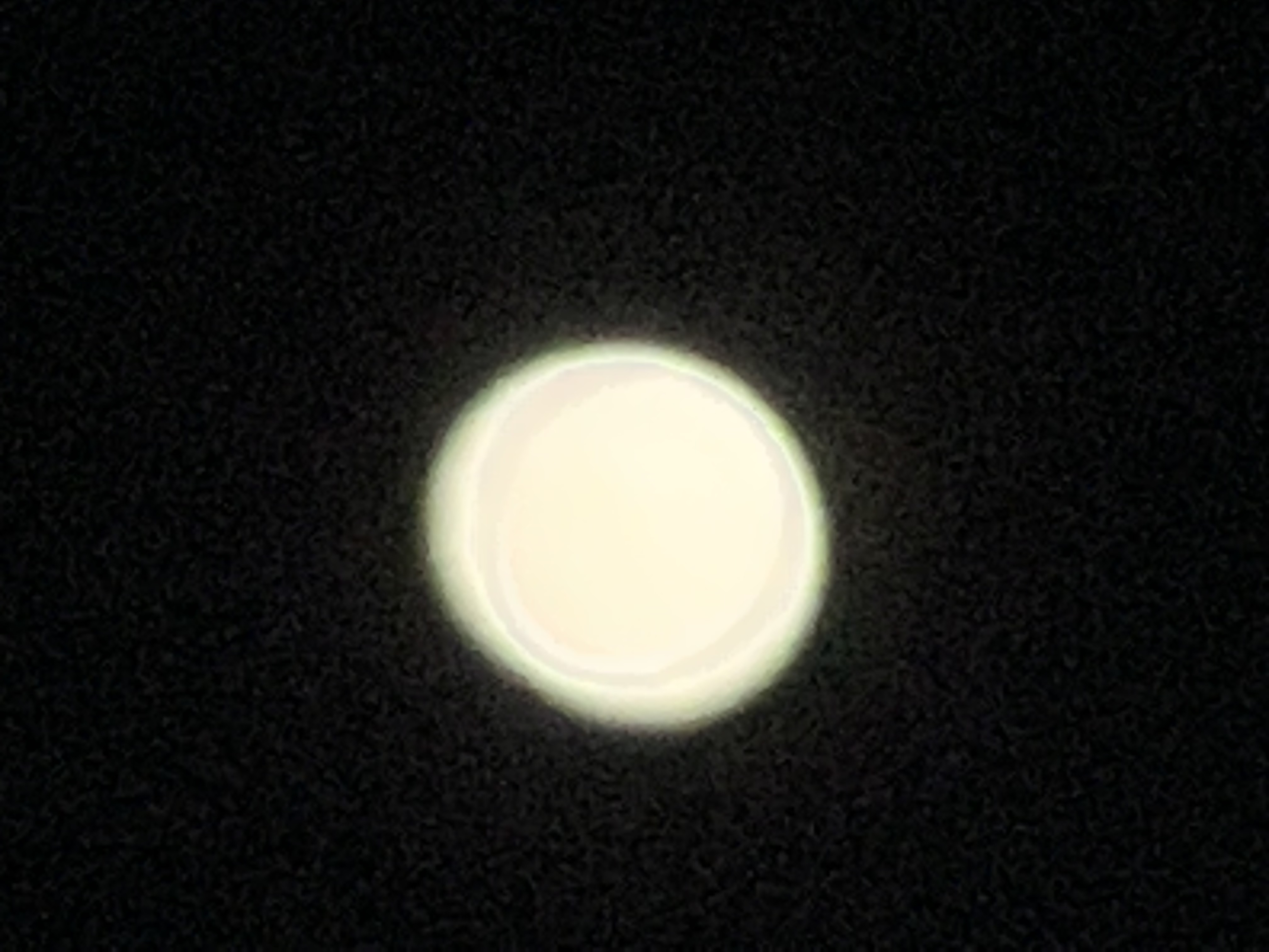 00113477