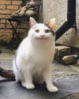 新井test()