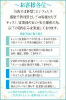 安心・安全・第一宣言(20)