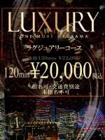 ラグジュアリー(20)
