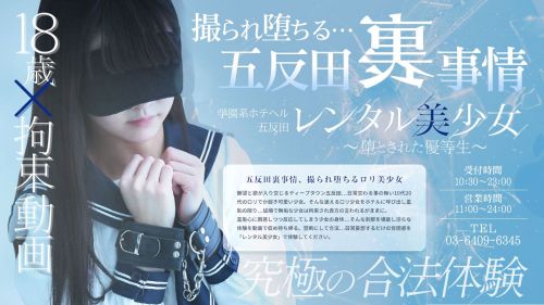 レンタル美少女 -堕とされた優等生-