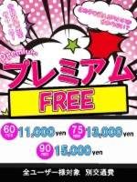 プレミアムフリー(20)