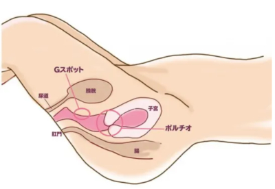 イメージ画像